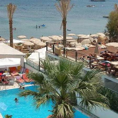 Turihan Bodrum